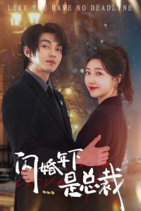 闪婚年下是总裁(全集)